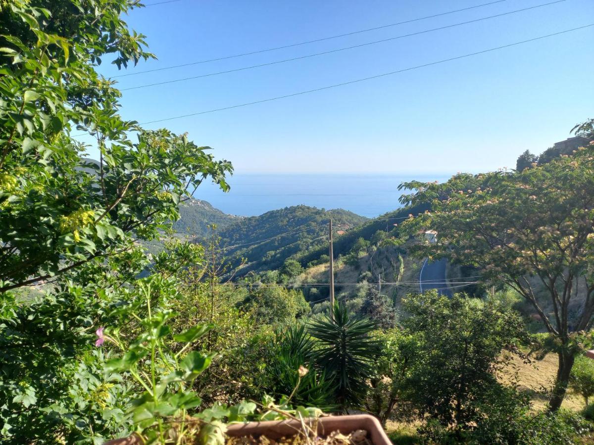 Cinque Terre & Portofino Lodge-Dependance Bracco Moneglia Dış mekan fotoğraf