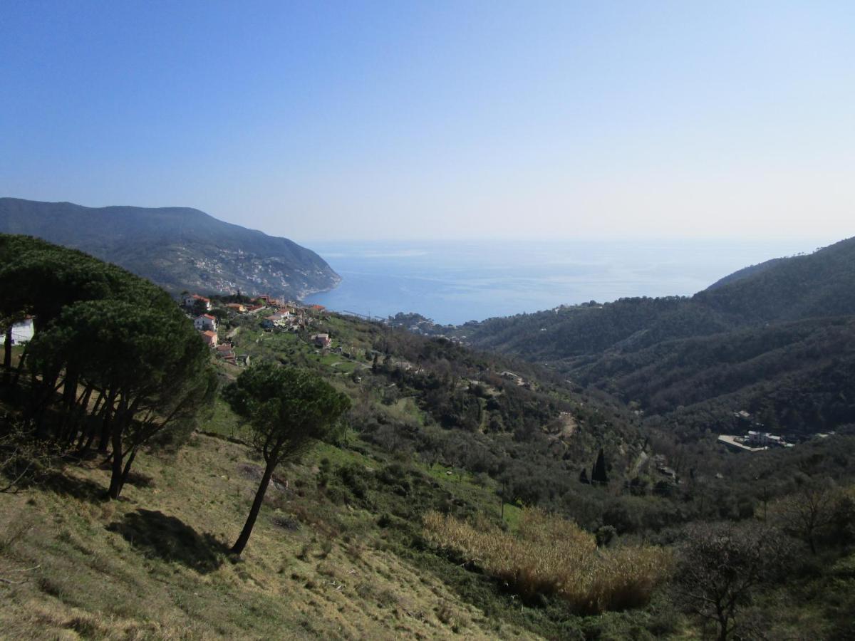 Cinque Terre & Portofino Lodge-Dependance Bracco Moneglia Dış mekan fotoğraf