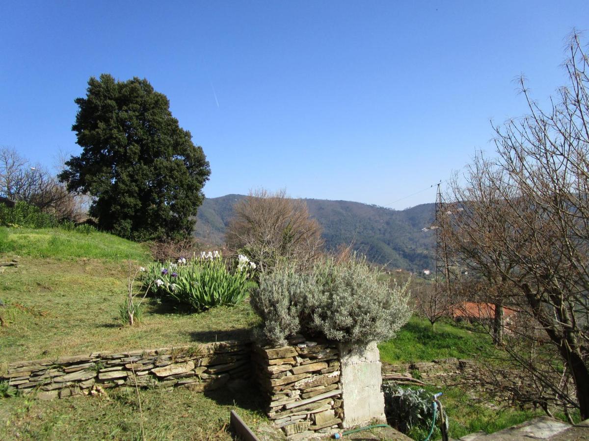 Cinque Terre & Portofino Lodge-Dependance Bracco Moneglia Dış mekan fotoğraf