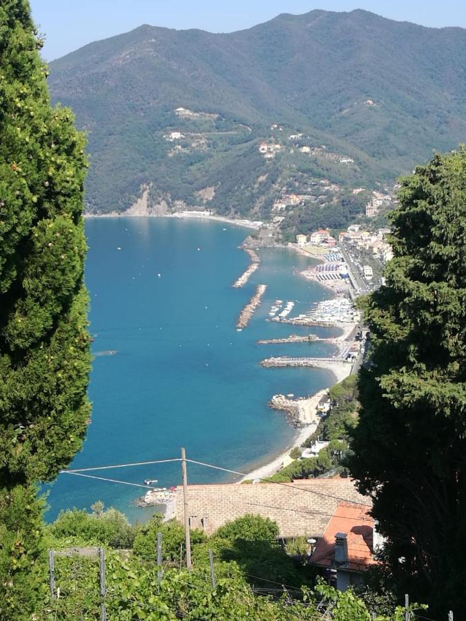 Cinque Terre & Portofino Lodge-Dependance Bracco Moneglia Dış mekan fotoğraf
